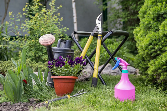 Garden Cleanup Time: Do It Now!