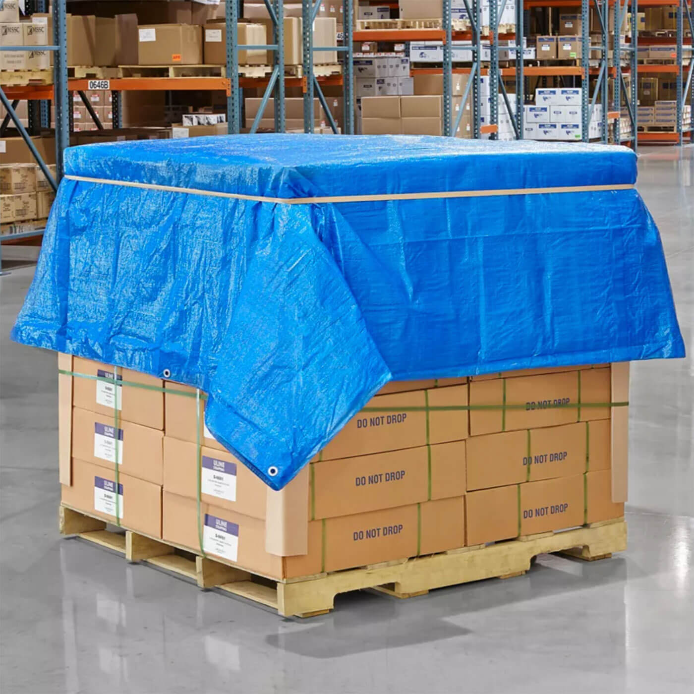 8' x 10' All-Purpose Blue Tarps (30 Pack)