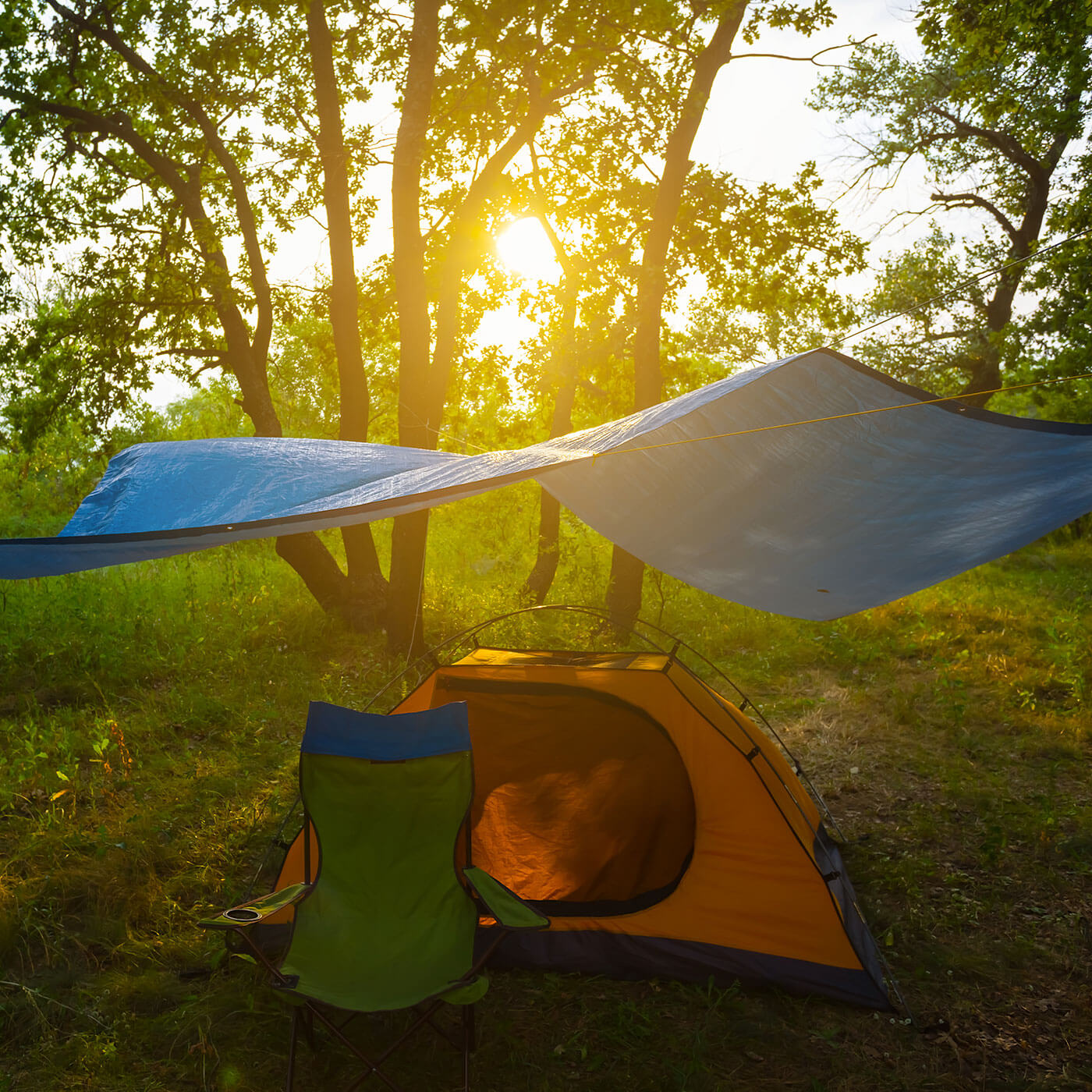 10' x 10' All-Purpose Blue Tarps (24 Pack)