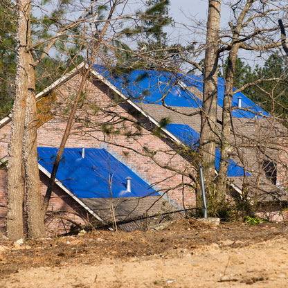 30' x 50' All-Purpose Blue Tarp